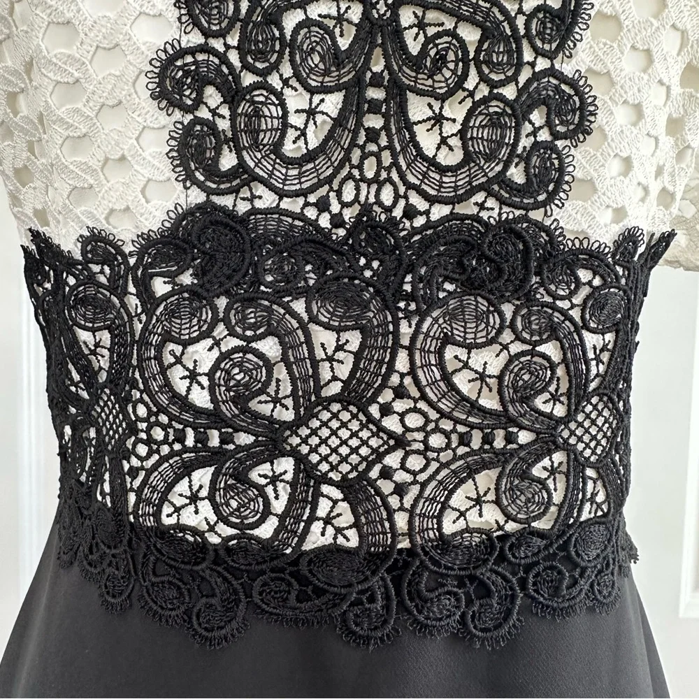 Zara As Seen on TV Black White Lace Crochet Cutout Sheath Dress Mock Neck Size S - Picture 4 of 13
